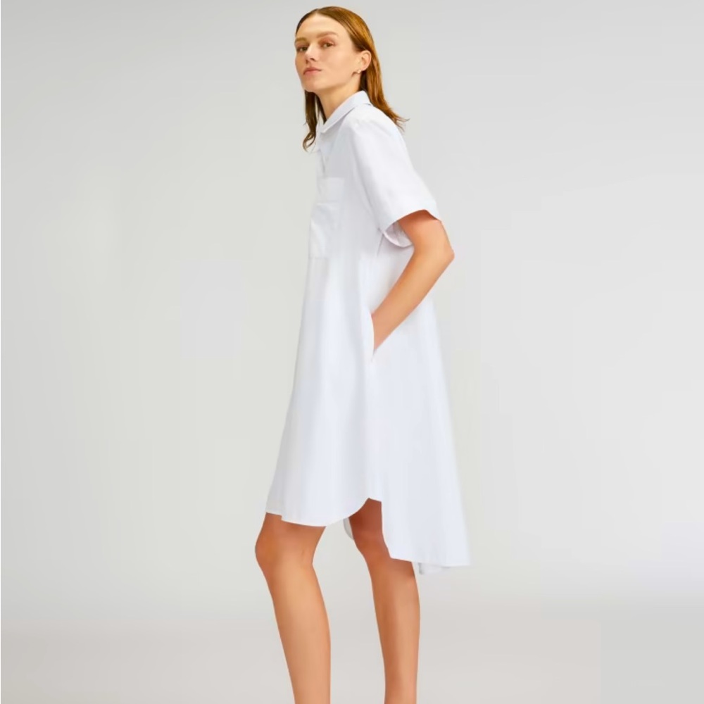 Everlane The Daytripper Shirt Dress